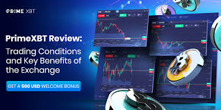 Discover the Power of Trading with Trade PrimeXBT